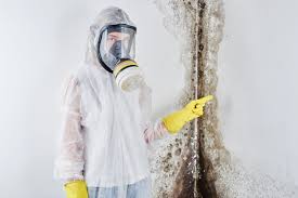 Reliable Highland Lakes, NJ Mold Remediation Solutions